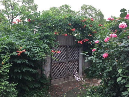 小花門花藝工程 融合藝術與自然的空間裝飾美學